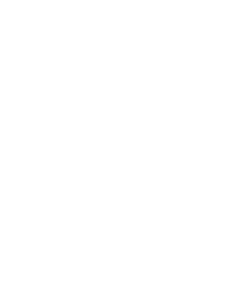 VIS logo